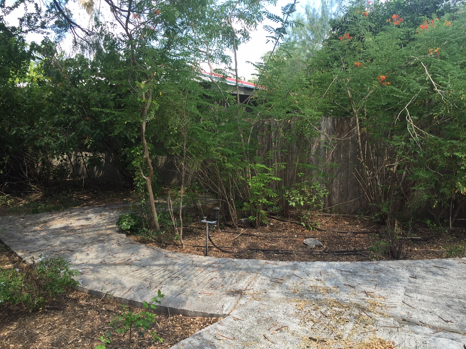 Land for Sale in Mission Texas 78572